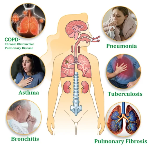 Ourlyard™ Herbal Lung Cleansing Inhaler